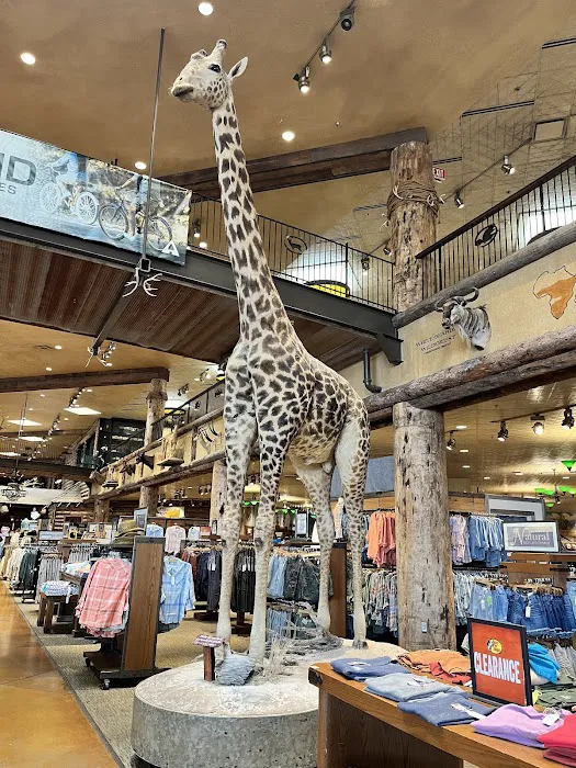 Bass Pro Shops 7