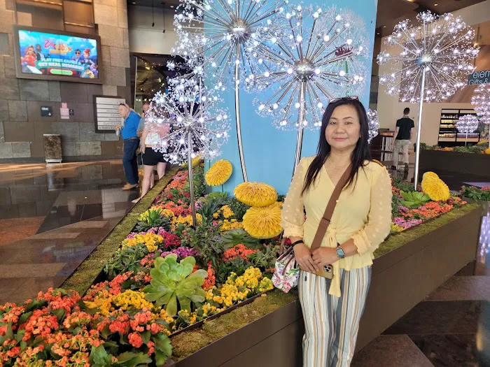 Elements at Aria 4