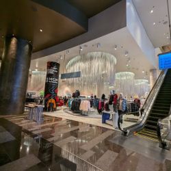 Elements at Aria ico