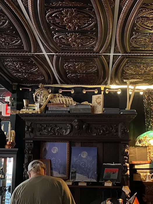 Black Cat Curiosity Shoppe 6