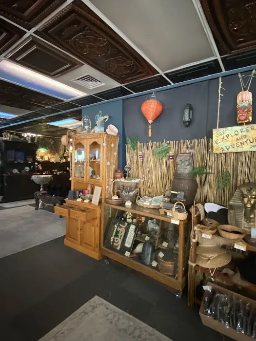 Black Cat Curiosity Shoppe 0