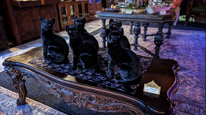 Black Cat Curiosity Shoppe 9