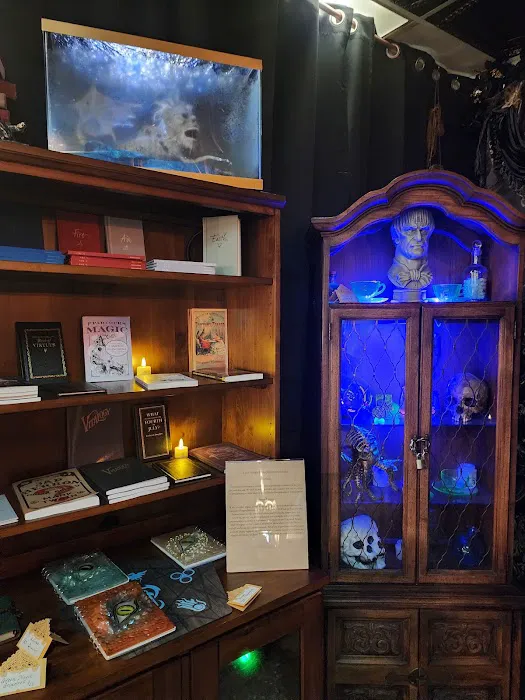 Black Cat Curiosity Shoppe 4