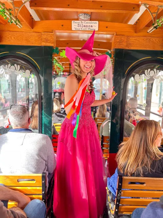 The Good Witch of Salem 4
