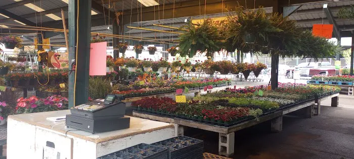 West Virginia Market Place 6