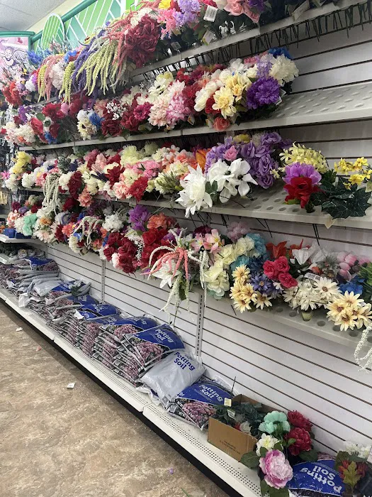 Dollar Tree 2