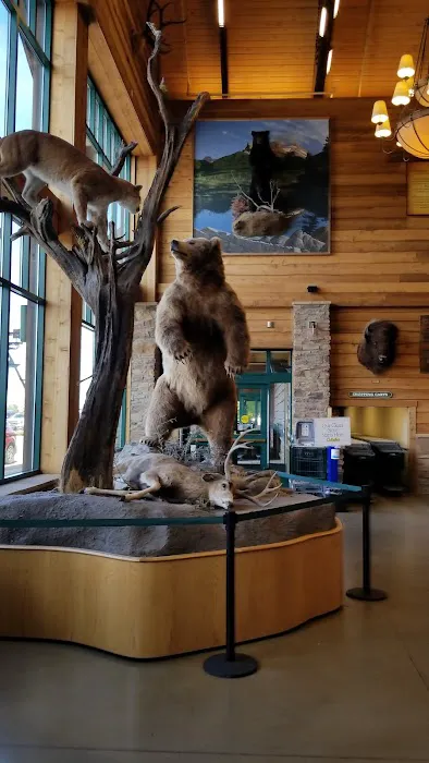 Cabela's 9