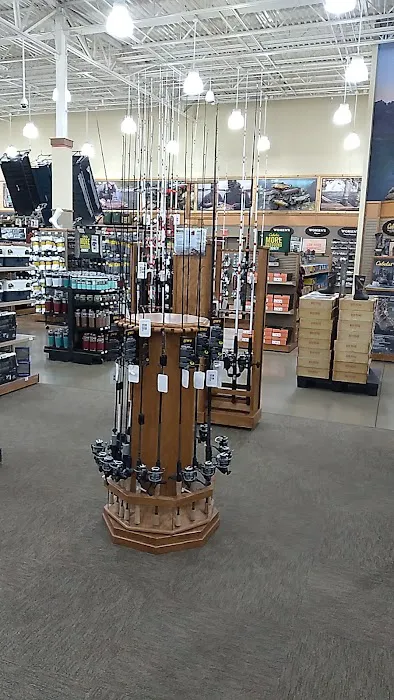 Cabela's 6