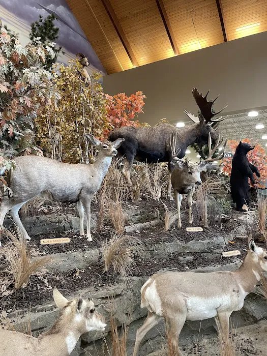Cabela's 3