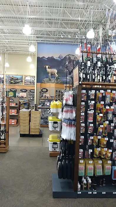 Cabela's 4
