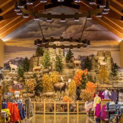 Cabela's ico