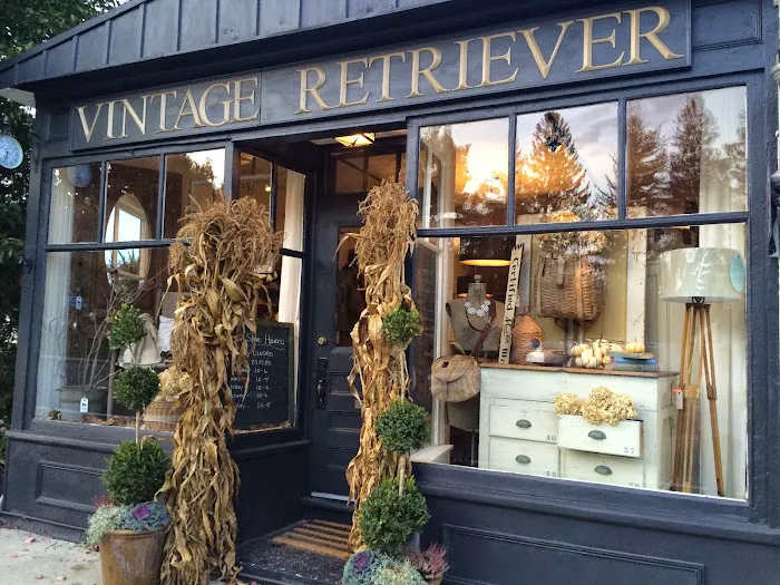 Vintage Retriever 1