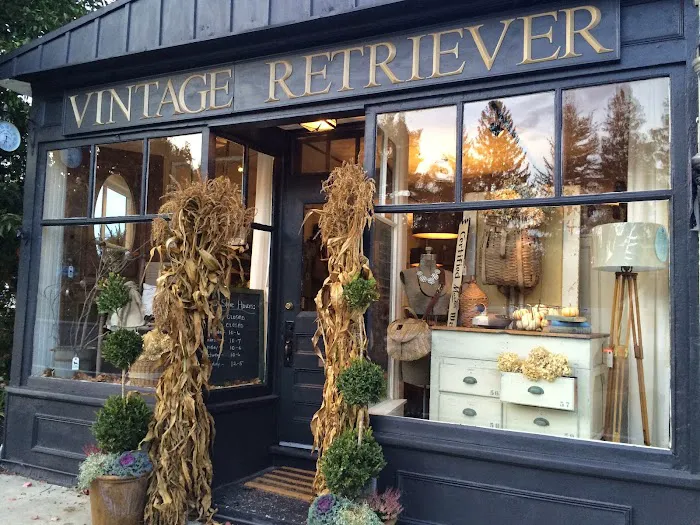 Vintage Retriever 0