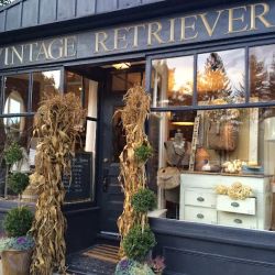 Vintage Retriever ico