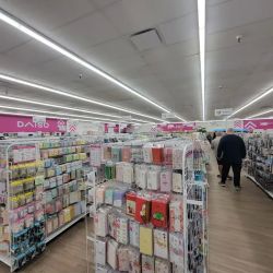 Daiso - Japanese Household Goods ico
