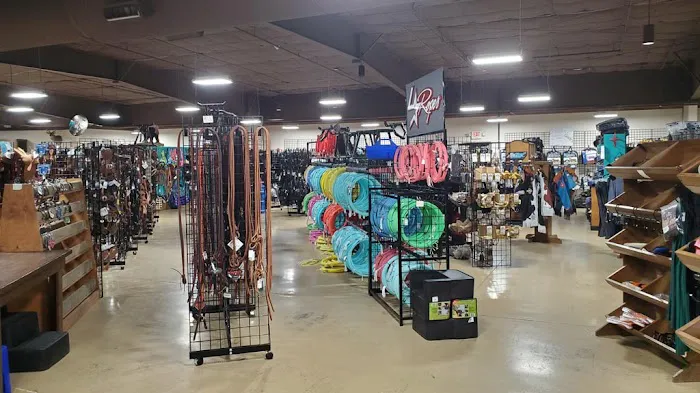 Cavender's PFI 6