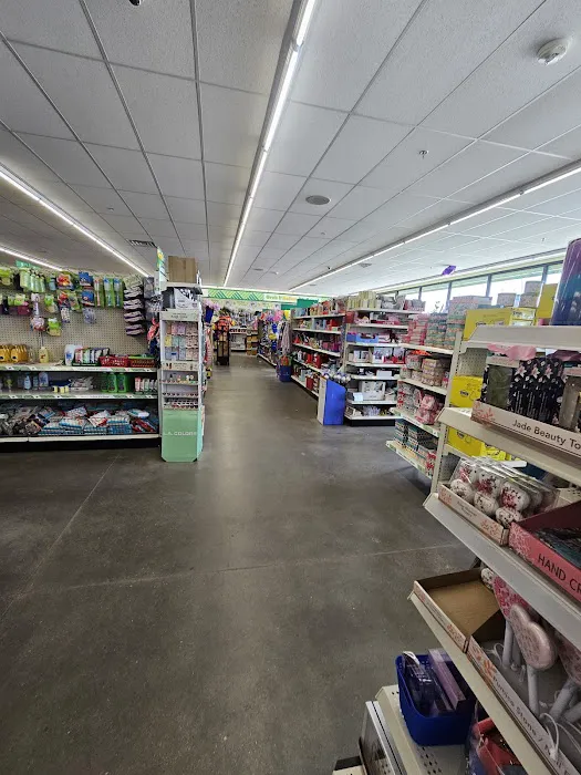 Dollar Tree 6
