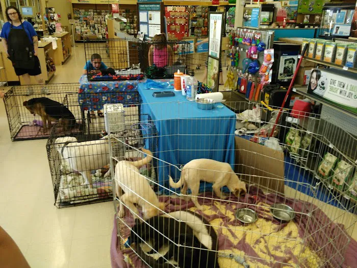 Petco 6