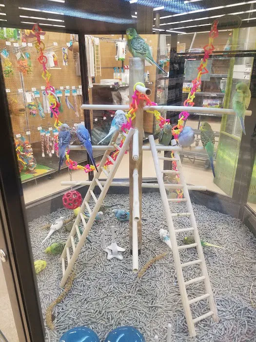 Petco 2