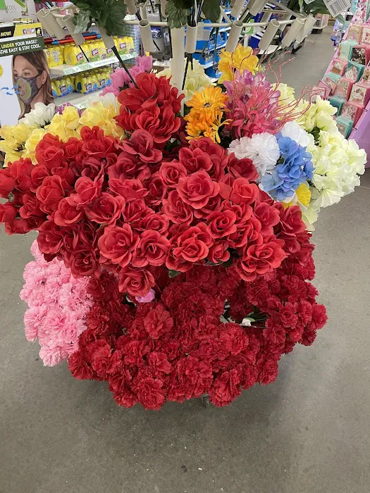 Dollar Tree 7