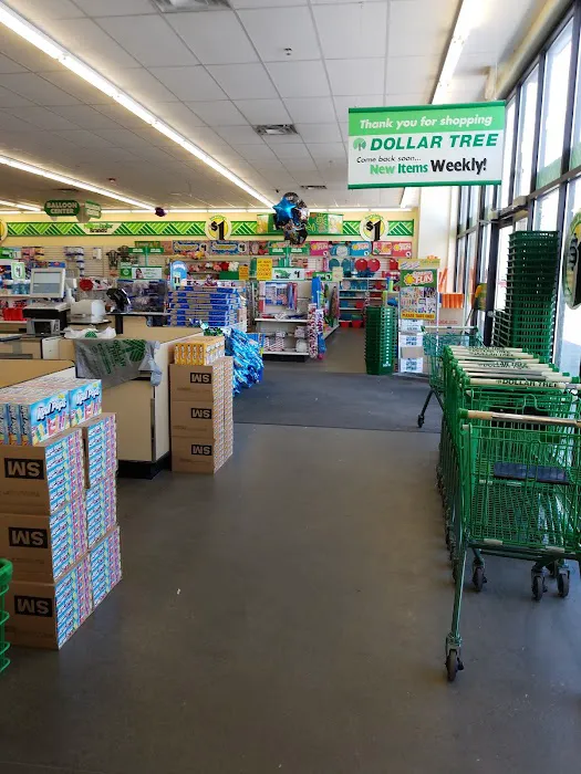 Dollar Tree 6