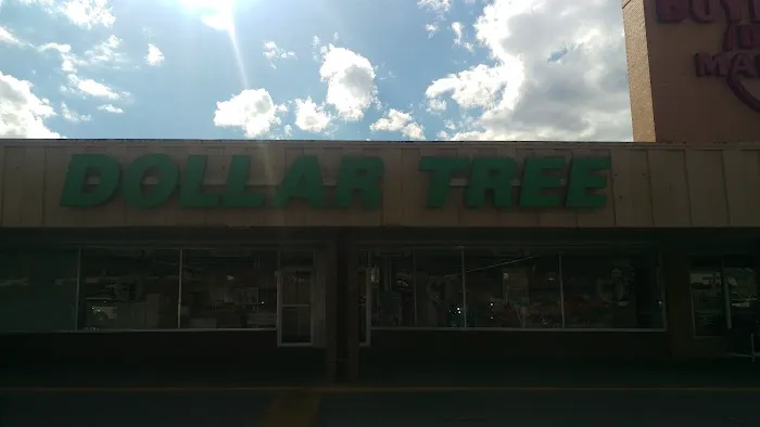 Dollar Tree 6