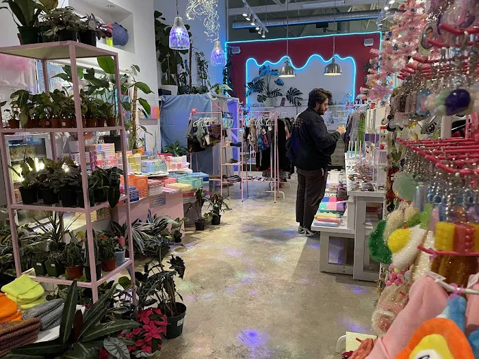 Alchemy Plants & Thrift 8