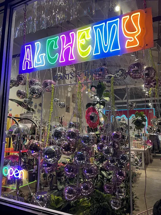 Alchemy Plants & Thrift 3