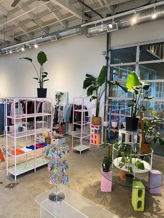 Alchemy Plants & Thrift 0