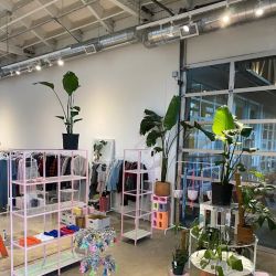 Alchemy Plants & Thrift ico