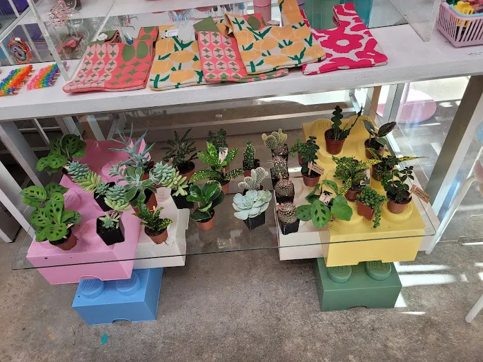 Alchemy Plants & Thrift 1