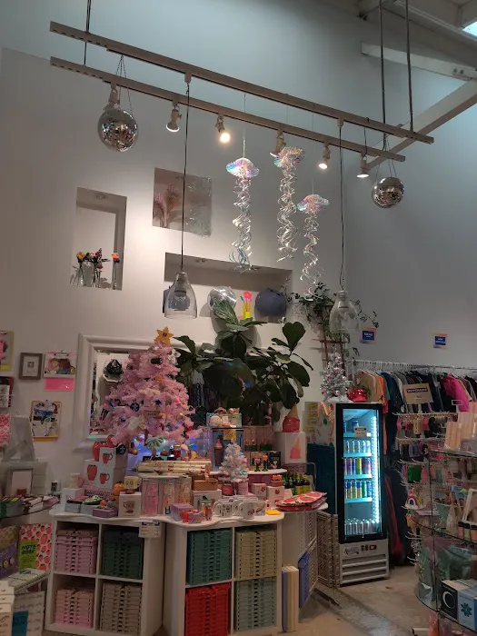 Alchemy Plants & Thrift 2