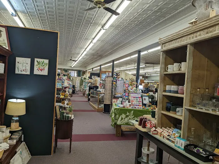 The Curiosity Shoppe 0