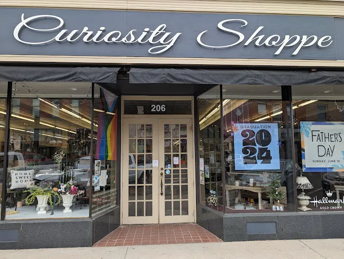 The Curiosity Shoppe 6