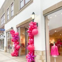 Pink Dinosaur ico