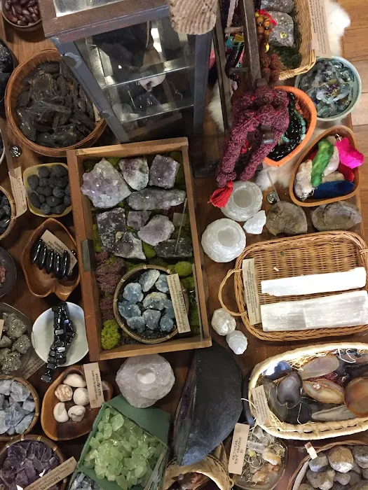 Twisted Thistle Apothecary 7