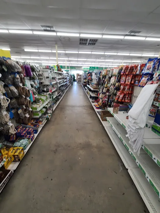 Dollar Tree 1