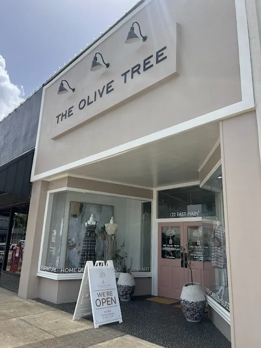 The Olive Tree 0