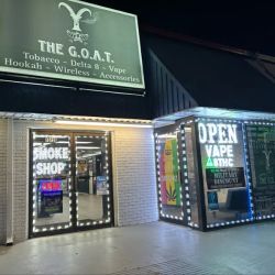 The GOAT ico