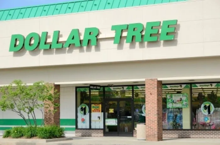 Dollar Tree 8