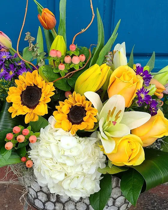 Flower Co 8