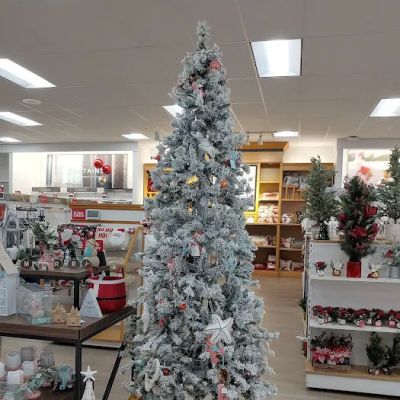 Kohl's