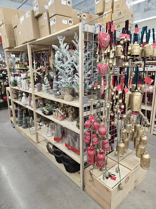 World Market 9