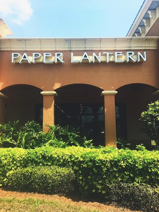 Paper Lantern 9