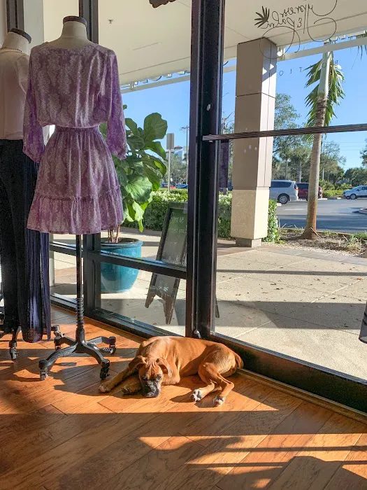 Cypress & Palm Boutique 0
