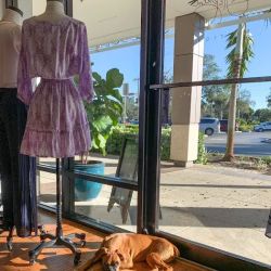 Cypress & Palm Boutique ico