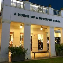A Horse of A Different Color ico