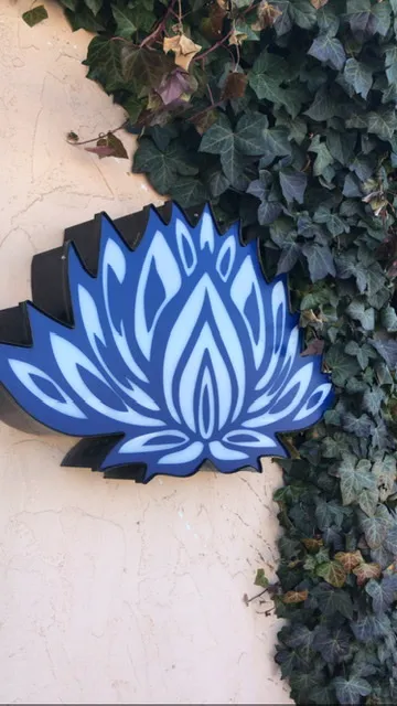 Turiya's Gifts 0