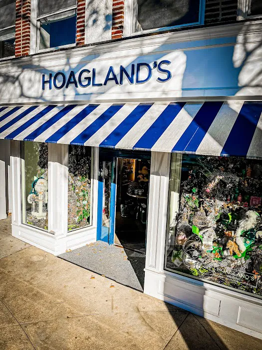 Hoagland's 4