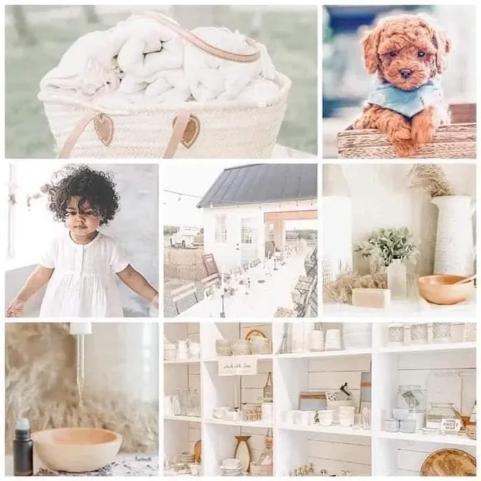 Mimi's Mercantile and Boutique-Mason Grove Farm 1